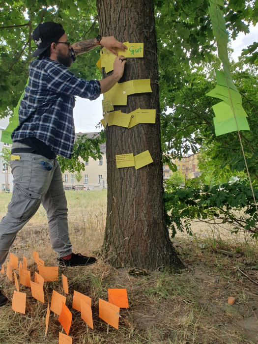 baum01.jpg